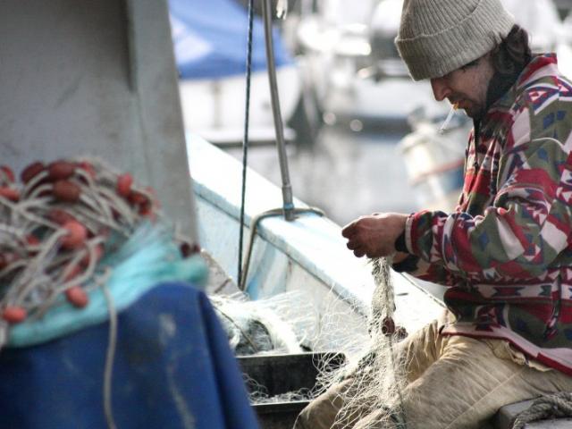  Fermeture de la pêche dans le golfe de Gascogne : Une catastrophe pour la filière 